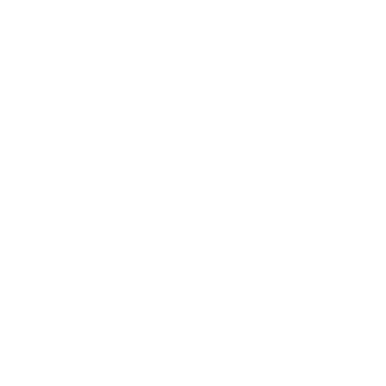 NightID Logo